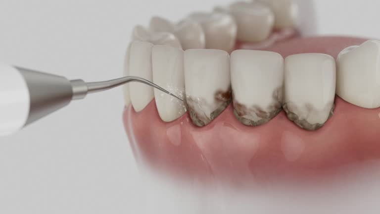 Reliable Dental contractor in Lincoln County County, MS by Dentist Open Now